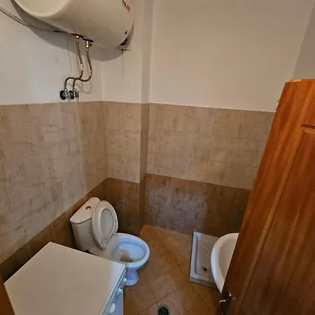 Arion Sarande